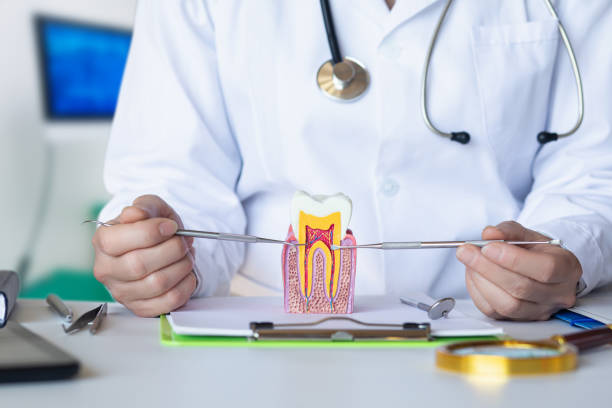 Professional Emergency Dentist in HI